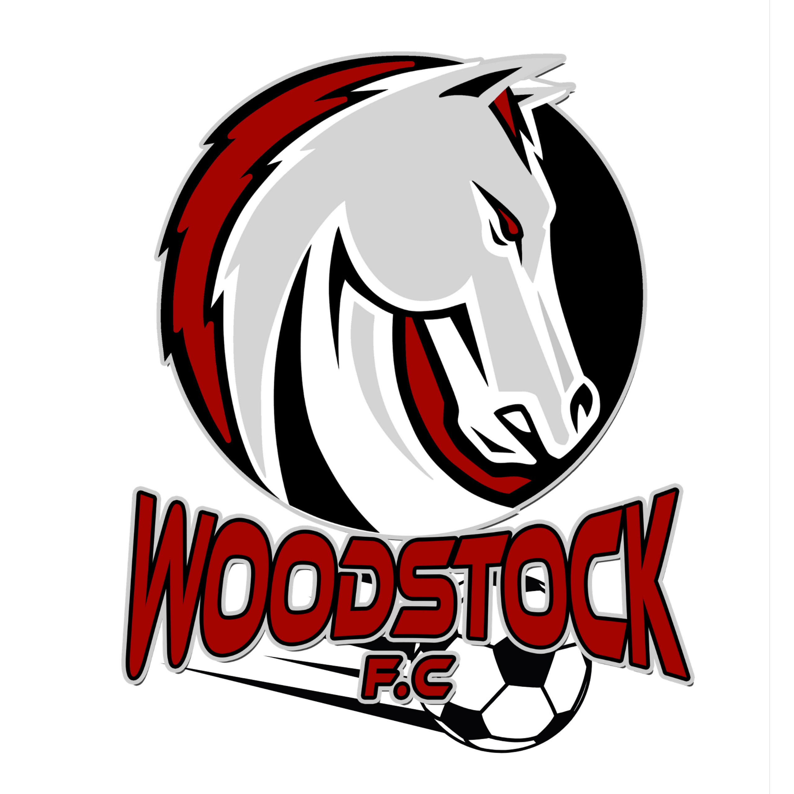 Woodstock FC