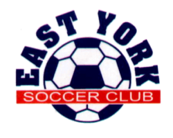ey-logo-trans